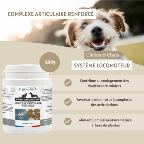 Complexe articulaire renforcé – Image 5