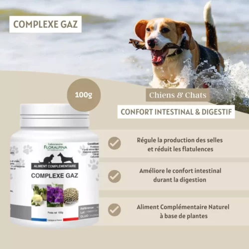 Complexe Gaz – Image 2