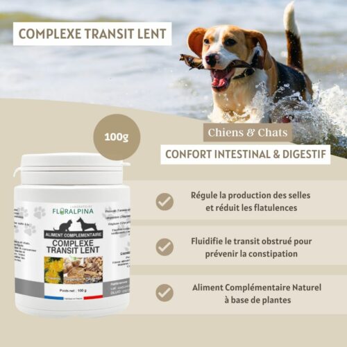 Complexe Transit Lent – Image 5