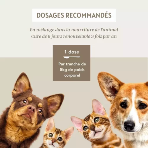 Complexe Vers – Image 4