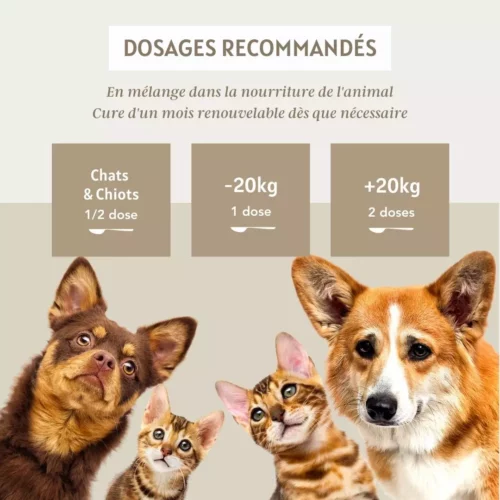 Complexe Voyage – Image 4