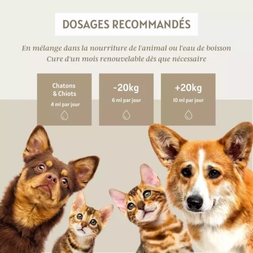 Complexe liquide défenses naturelles – Image 4