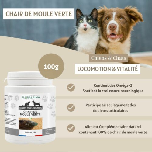 Moule verte – Image 5