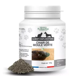 Moule verte