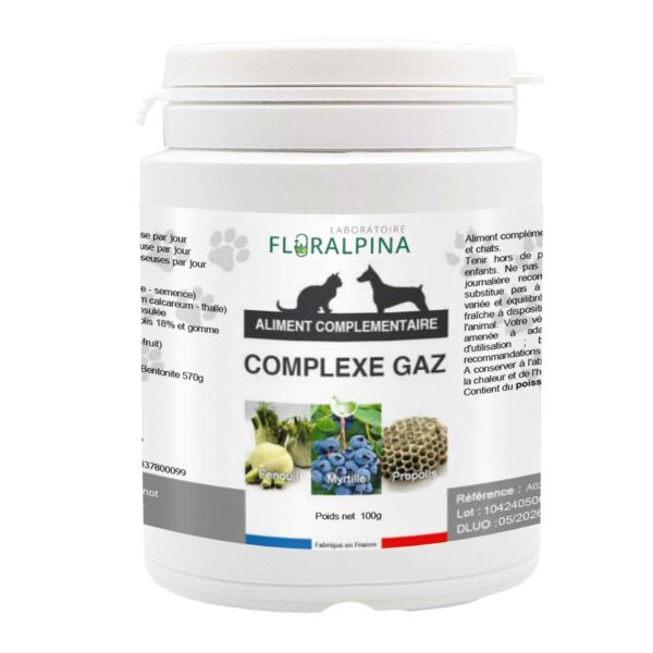 antiflatulence for dogs