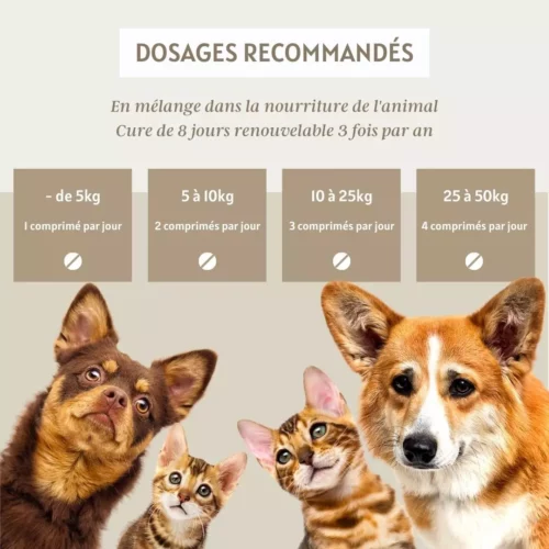Comprimés vers – Image 5