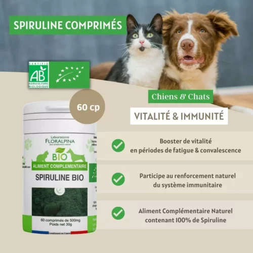 Spiruline Bio Comprimés – Image 2