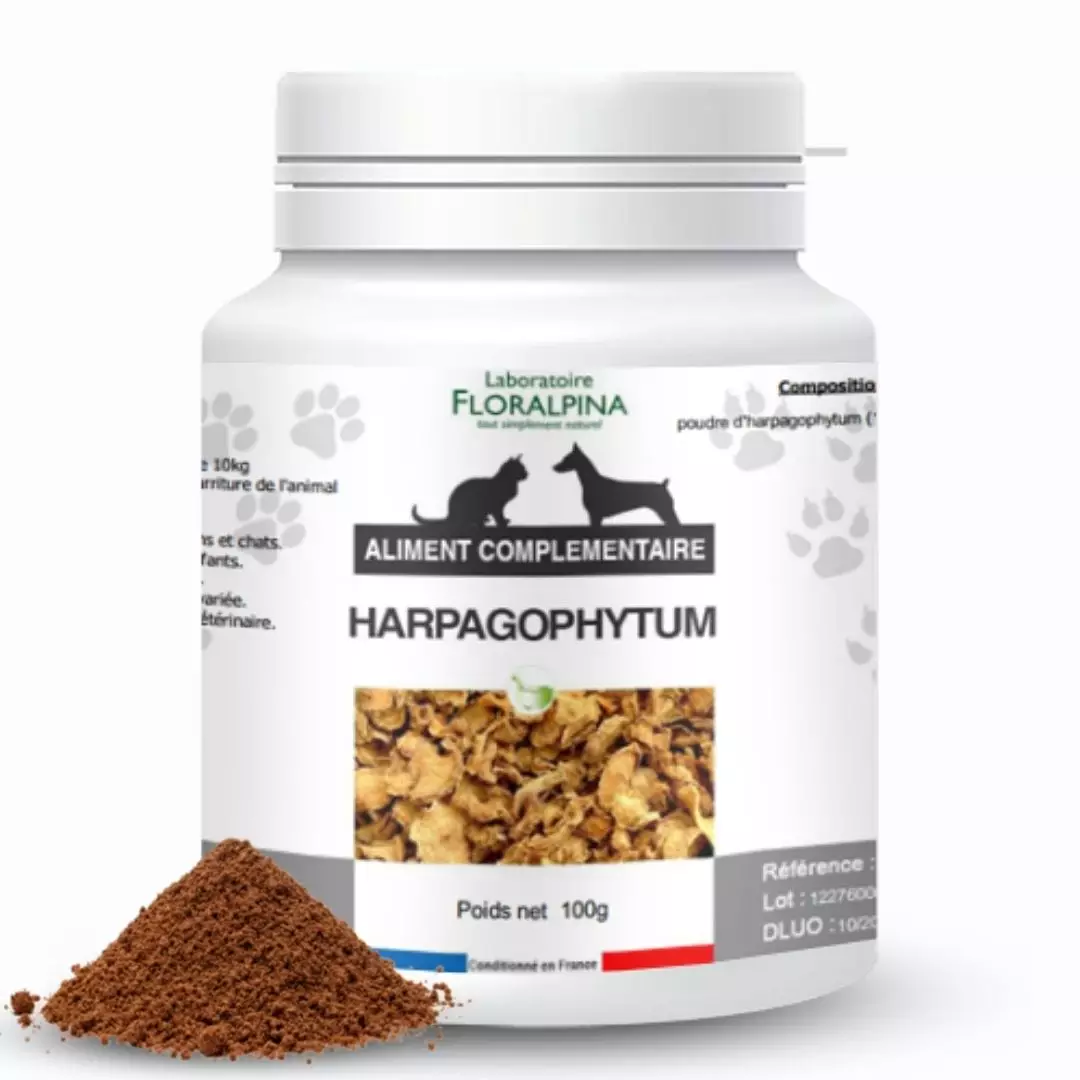 Où se procurer de l'harpagophytum pour chien ?