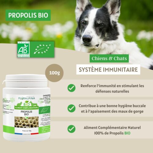 Propolis BIO - P2