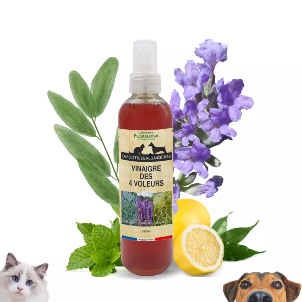 Antiparasitaire chien & chat - Vinaigre des 4 voleurs - Made in