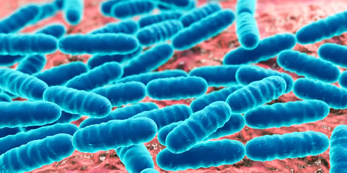 You are currently viewing Les Probiotiques pour Chien : Soutenir la flore intestinale