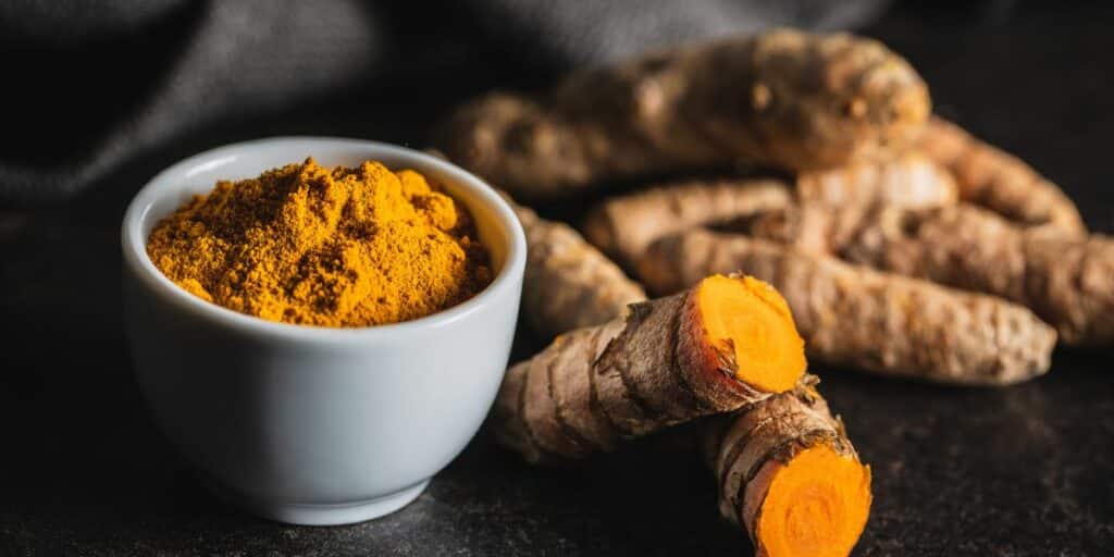 Lire la suite à propos de l’article Les bienfaits du curcuma en poudre pour chien et chat