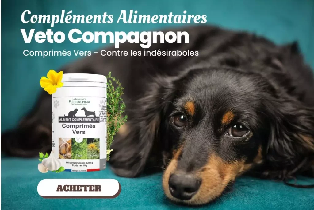 Vermifuge naturel chat remède de grand-mère – Veto compagnon