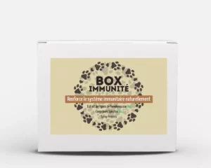 Box Immunité