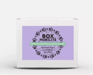 Box Mobilité