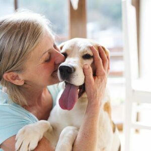 Read more about the article Food supplements for Senior Dog Digestion